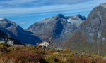 Reinsbukk i høstfjellet