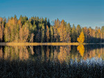 Høst ved vannet