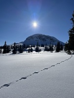 Fredfullt i fjellet