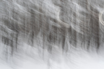 Virvelvind