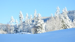 Vinter i blått og hvitt.