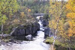 Fjellbekkens ferd