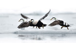 Take-off