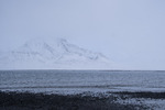 Kvitfjell