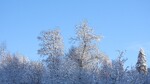 Vakker vinter dag