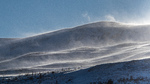 Snøstorm