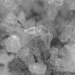 Snow Flakes