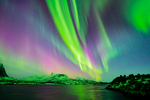 Nordlysnatt i januar