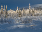 Vinter i Bittermarka.