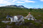 Eventyr i Trollheimen 