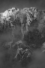Magiske Skogshorn