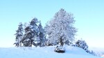 Vinterens skjønnhet
