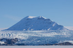 Fjellbre