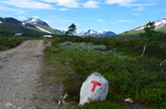 DNT - tursti i Trollheimen 