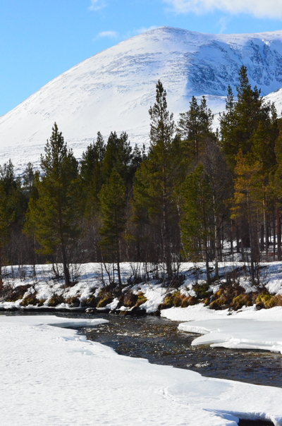 Vårløsning i Rondane 