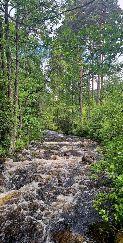 Grønt og frodig langs Nordåni .