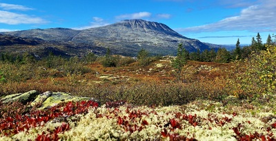 Gaustatoppen i høst farger.