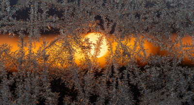 Rim i morgenlys