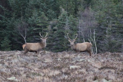Tid og rom står stille