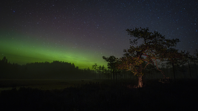 Høstnatt