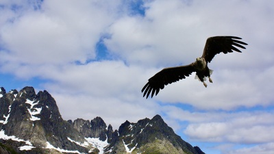 Høyfjellets hersker