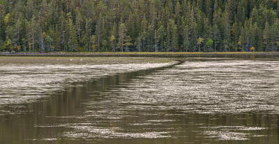 Sennsjøvika.