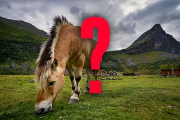 Hest som beiter foran seter og et fjell.