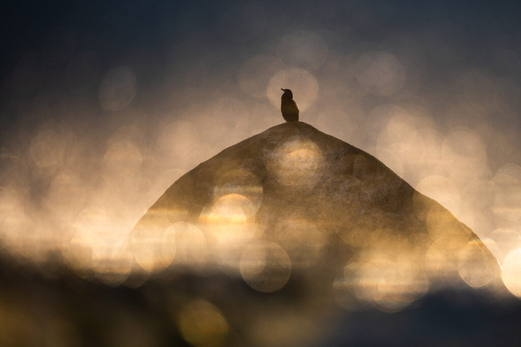 Foto: Benjamin Grimsby